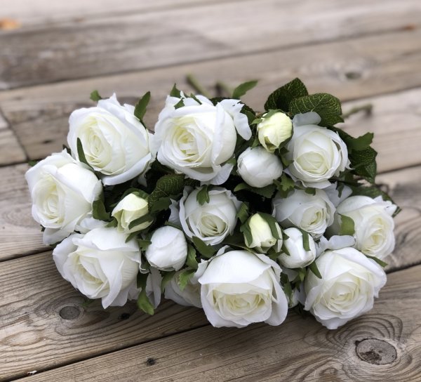 Vit ros buskros i bukett modell. Med flera blommor och gröna blad. Lika vacker att ha ensam i en vas eller flera tillsammans i e