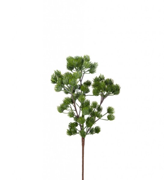 Grön lärkkvist att dekorera med. Fyllig modell som gör sig lika bra ensam som till utfyllnad i en bukett eller arrangemang. Väla