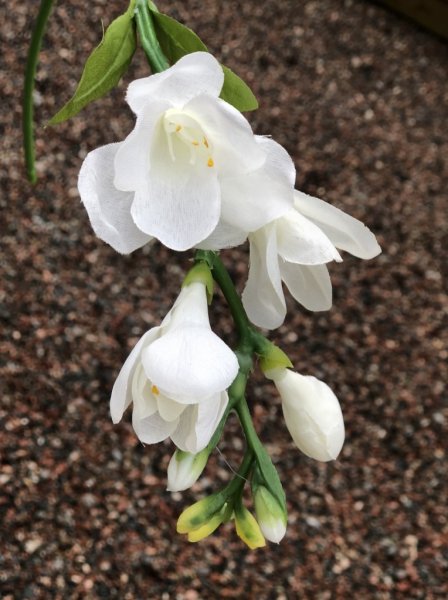 Vacker vit Freesia i konstgjord välarbetad modell. Fin blomma som passar sig leka bra att ha ensam i en vas som tillsammans med