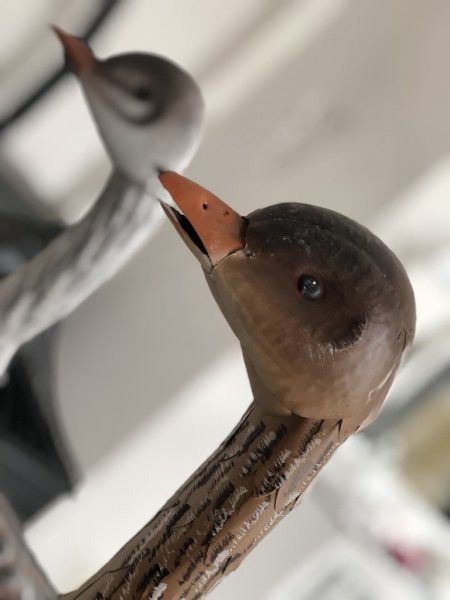 Herr och Fru Gås . Vackra och ståtliga djur, tillverkade i plåt med verklighetstrogen känsla, lyster och utseende. Välarbetade o