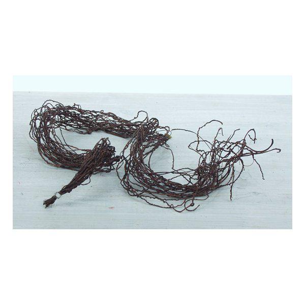 Trassel grenar/kvistar i ris bukett att dekorera med. Ha det som påskris eller som utfyllnad i en bukett alt ett arrangemang. G