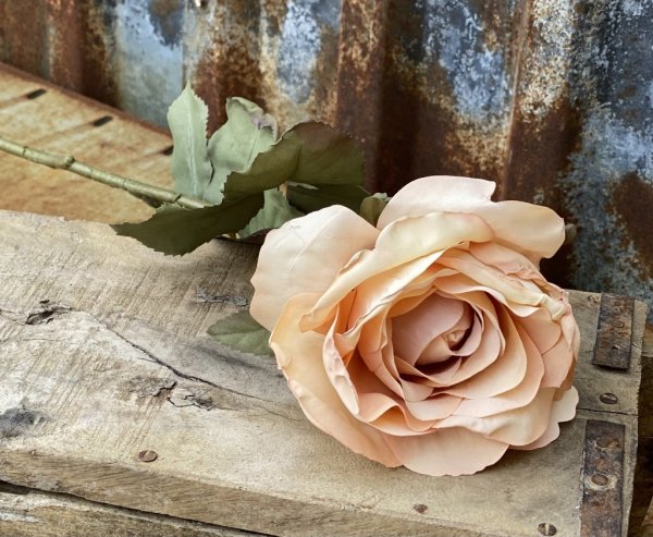 Vacker konstgjord torkad ros i mjuka nyanser. Stilfull och elegant i välarbetad modell. Utslagen och mjuk i nyanserna. Från Mr P