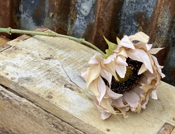 Solros i vacker höst inspirerad torkad modell. Natur trogen och välarbetad konstgjord blomma. Finns i två nyanser -Brun -Beige L