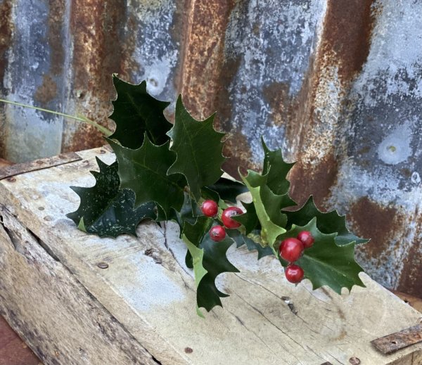 Kvist järnek med gröna blad och röda bär. Välarbetad och detaljrik i verklighetstrogen konstgjord modell. Att pynta och dekorer