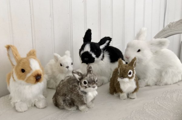 Kanin med päls konstgjord verklighetstrogen