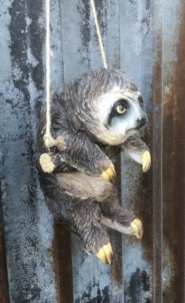 Hängande sengångare. Söt och verklighetstrogen modell med fina detaljer. Sengångaren hänger på en gren som sitter fast i snöre.