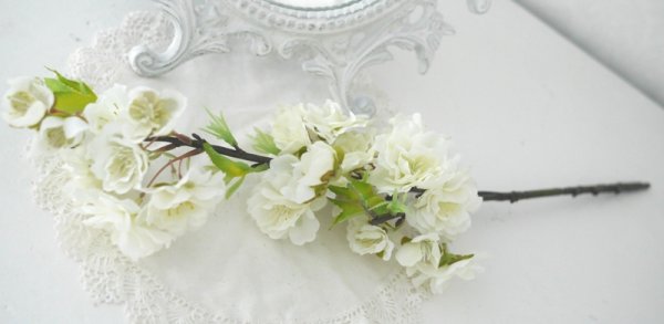 Vacker vår fin större gren av äppelblom i en vacker vit nyans med många utslagna blommor, knoppar och blad. En välarbetad verkli