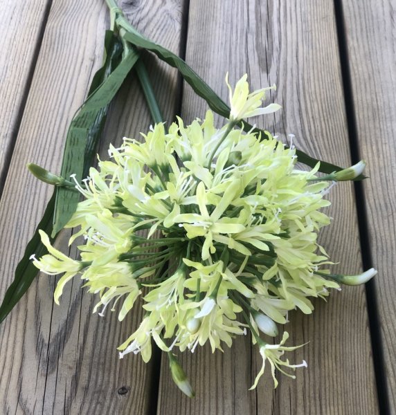 Agapantus blomma med gröna blad. Blomman i en gul vit nyans. Välarbetad och verklighetstrogen konstgjord blomma med lång stjälk.