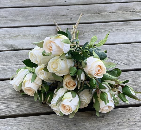 Vacker vit ros / buskros kvist med flera blommor och gröna blad. Lätt cream vit med två nyanser av vitt. Välarbetad vacker konst