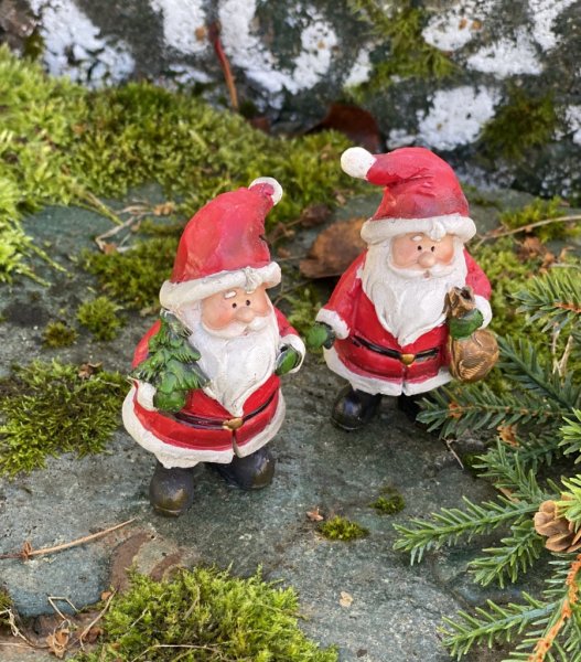 Tomte med gran och säck