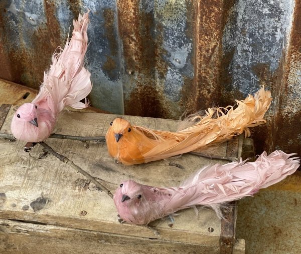 Vacker stor fågel i mjuka färger med fjäder skrud att dekorera med. Finns i tre olika nyanser -Aprikos -Rosa -Rosa/Lila Varje få