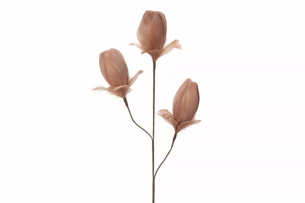 Kvist med fjäderknoppar / fjäderblommor i dun"Mullvard"