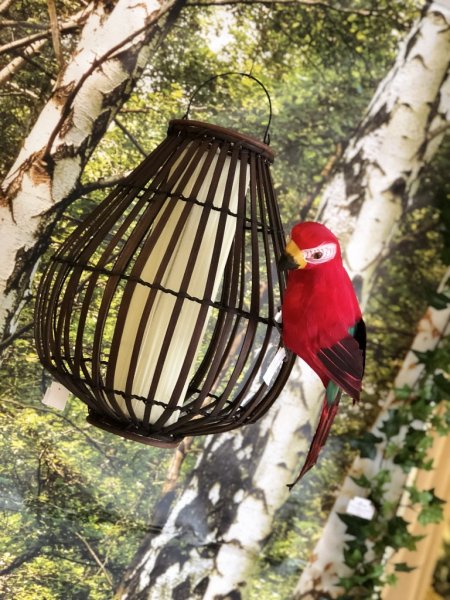 Vacker röd papegoja i och av fjädrar och dun. Verklighetstrogen konstgjord och vacker modell. Större med vackert fjäder skrud ba