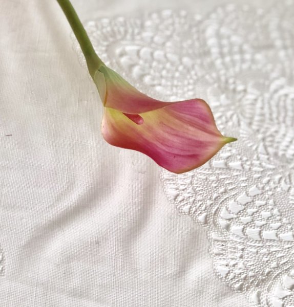 Ljus rosa Calla vacker konst blomma med lång stjälk. Välarbetad, verklighetstrogen konstblomma i snitt modell. Att ha i en sing