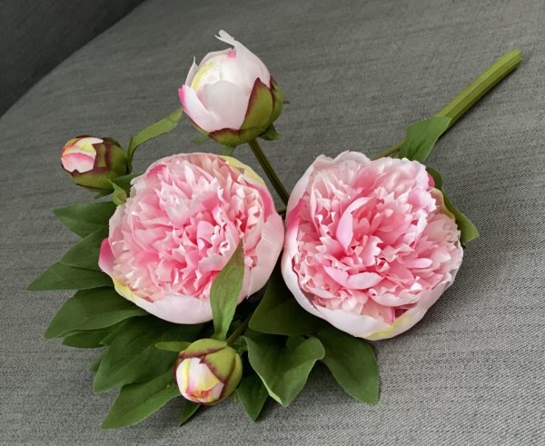 Vacker rosa pion bukett / gren/ kvist med blommor, knoppar och gröna blad. Stor i fyllig modell med lång verklighetstrogen känsl