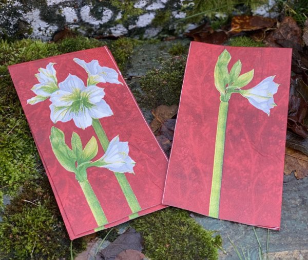 Avlånga röda servetter med vit amaryllis. 33cm * 40cm 3-lager 20 per paket (komposterbara, vattenbaserade färger, miljövänlig