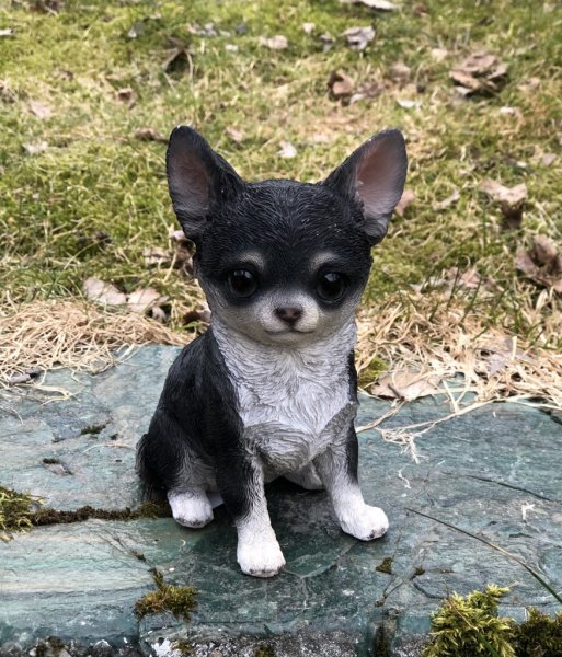 Söt hundvalp att dekorera med. I lite större modell med fina verklighetstrogna detaljer. Finns i flera olika varianter/raser. -M