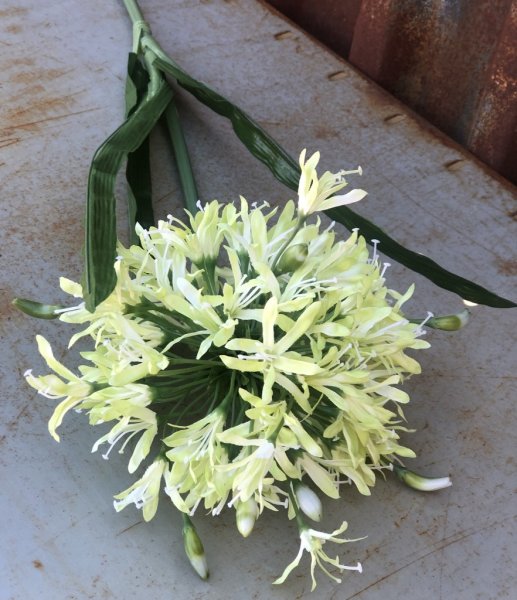 Agapantus blomma med gröna blad. Blomman i en gul vit nyans. Välarbetad och verklighetstrogen konstgjord blomma med lång stjälk.