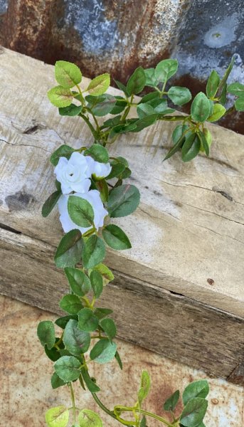 Ros girlang att dekorera, pynta, pyssla och duka med tex. I tät modell med många gröna blad och mindre vita rosor. Välarbetad oc