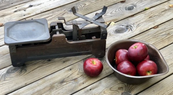 Gammal antik köks/hushållsvåg . Tillverkad i plåt och metall går i vacker mix av rostigt brunt och antik guld. Återvunnen modell