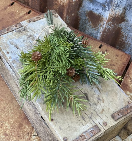 Vacker grön bukett med kvistar av gran och kottar. Att dekorera med i ett arrangemang eller ensam i en vas tex. I en bukett om 3