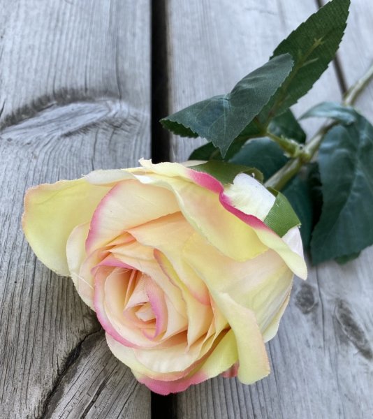 Vacker guld ros med rosa rodnad och gröna blad. Välarbetad vacker konstgjord ros med hög verklighets trogen känsla. Lika vacker