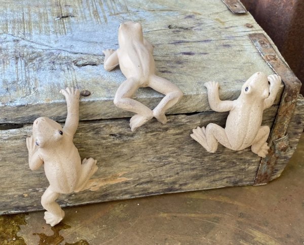 Groda att dekorera med. Modell som kan hänga på tex en kruka så det ser ut som om grodan klättrar på krukan. Passar också att ha