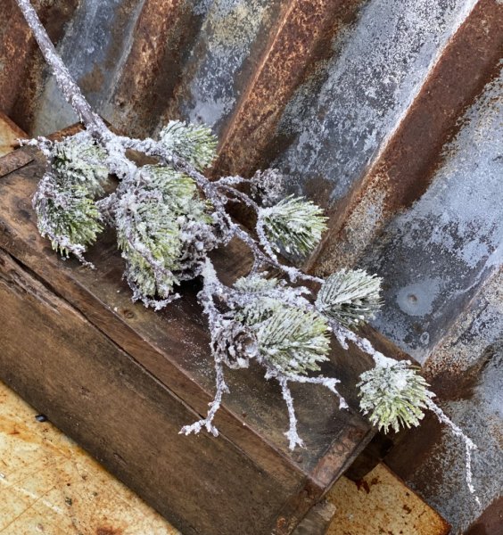 Vinter vacker natur gren med kottar och barr, pudrade med nysnö. Att dekorera med ha som den är i en vas eller liggande , Place