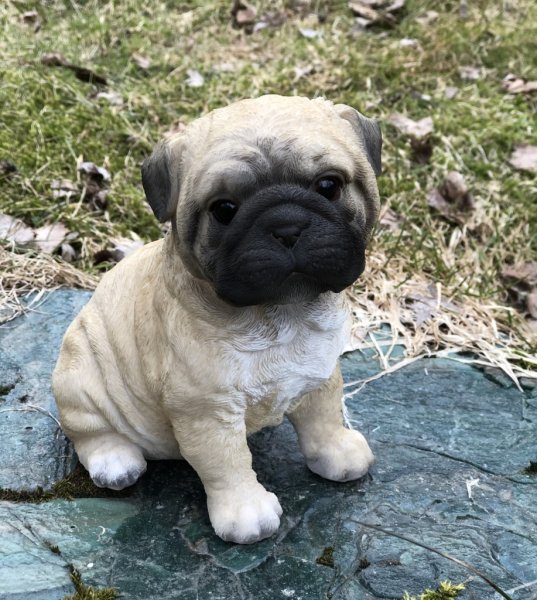 Söt hundvalp att dekorera med. I lite större modell med fina verklighetstrogna detaljer. Finns i flera olika varianter/raser. -M