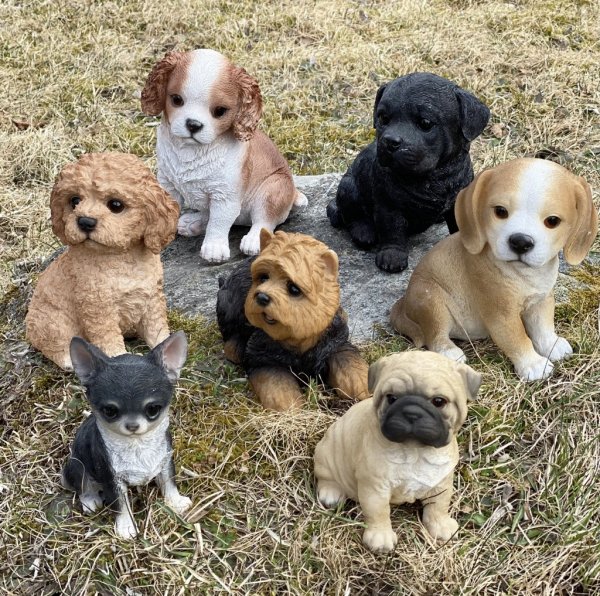 Söt hund / hundvalp att dekorera med