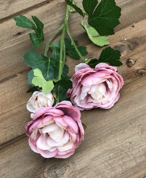 Vacker ranunkel blomma med gröna blad. Välarbetade i verklighetstrogen konstgjord modell. Går i mjuka nyanser av rosa och cream