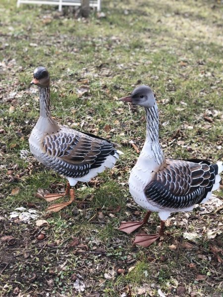 Herr och Fru Gås . Vackra och ståtliga djur, tillverkade i plåt med verklighetstrogen känsla, lyster och utseende. Välarbetade o