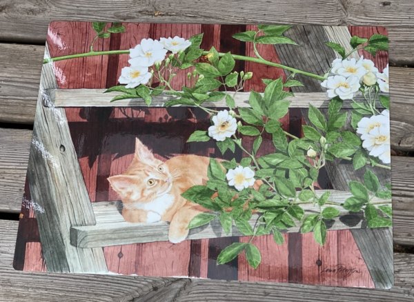 Bordstablett med vackert och natur troget motiv av en katt på en steg omgiven av rosor Honungsroskatt Bordstabletten är plastad