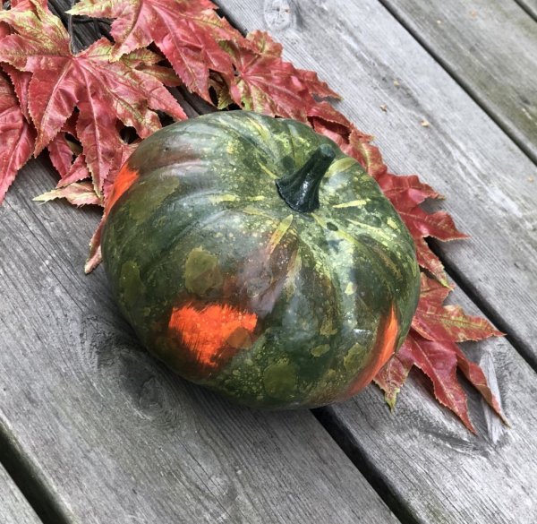 Grön och orange höst pumpa i verklighetstrogen, välarbetad, konstgjord modell. Att dekorera och pynta med, ensam eller i ett arr