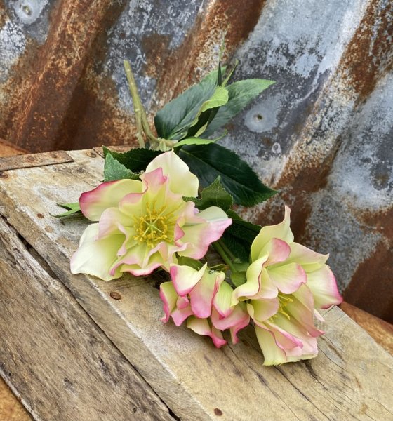 Vacker julros i vitt med rosa inslag. I bukett modell med flera blommor och gröna blad. Vacker och välarbetad. Från Mr Plant Hö