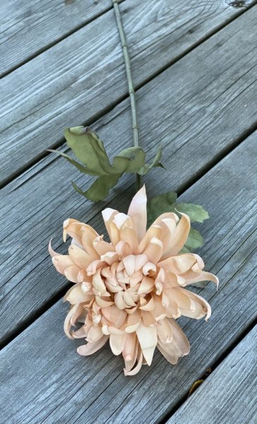 Vacker krysantemum i mjuk cream beige nyans. Livfull och välarbetad verklighetstrogen konstgjord modell. Lika vacker ensam som t