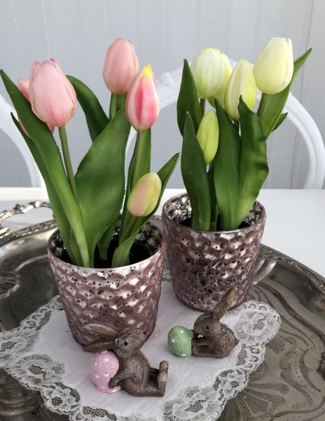 Tulpaner i kruka med vita och rosa blommor och gröna blad. Finns i två modeller. -Vita -Rosa Båda står i en plastad innerkruka s