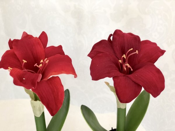 Röd jul Amaryllis i kruka. Mindre i modellen lätt placerad och välarbetad konstgjord blomma. Minns i två röda nyanser - Mörk Röd