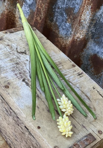 Vit pärlhyacint i snitt modell med dubbla blommor och gröna blad. Hög stjälk som passar bra i en bukett. Konstgjord vacker mode