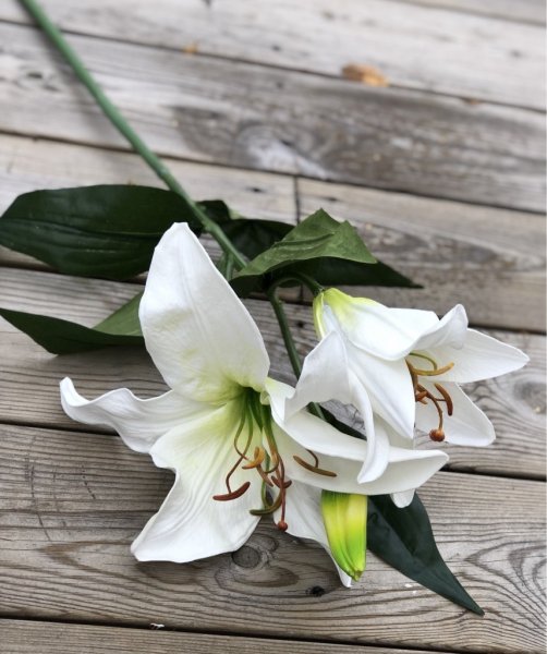 Vacker vit lilja i högre/längre modell med utslagen blomma och knopp samt flera gröna blad. Välarbetad och verklighetstrogen kon