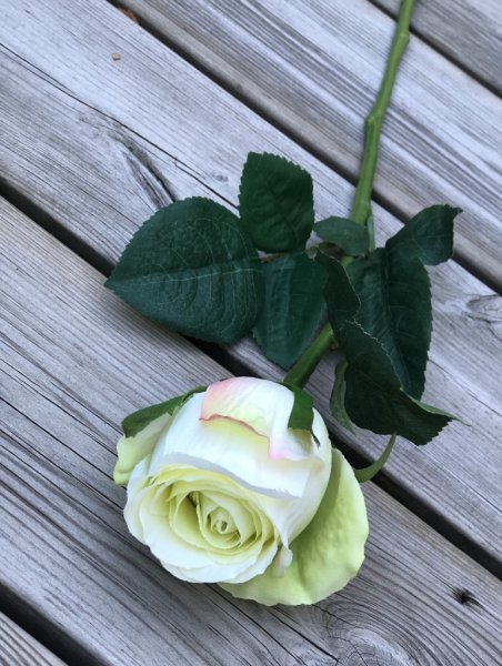 Vacker vit ros med grön rodnad och gröna blad. Välarbetad vacker konstgjord ros med hög verklighets trogen känsla. Lika vacker e