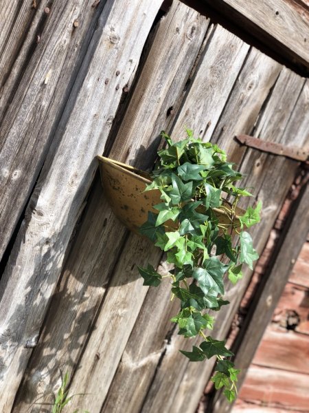 Viola väggkruka i antik modell, tillverkad i plåt och går i en lätt ruffig nyans av antik guld . Oval båt formad i modellen med