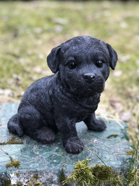 Söt hundvalp att dekorera med. I lite större modell med fina verklighetstrogna detaljer. Finns i flera olika varianter/raser. -M