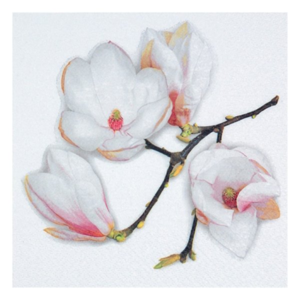 Servetter med vacker magnolia. Finns om två modeller -Kaffeservetter -Lunchservetter Går i mjuka nyanser av vitt och rosa. Lu