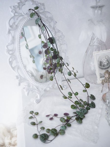 Ceropegia kvist/ bukett hjärtan på tråd kvist/bukett i fyllig fler grenad modell att dekorera med. Konstgjord välarbetad i verkl