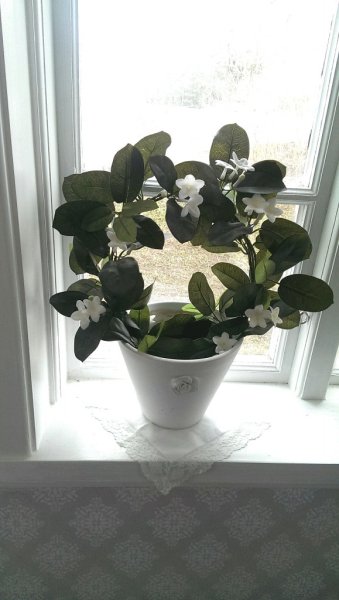 Vacker doftranka i båge med gröna blad och vita blommor. I plastad inne kruka . Välarbetad och verklighetstrogen konstblomma. Pa