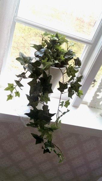 Grön murgröna i kruka . Modell häng med fint fall. Verklighetstrogen välarbetad konstväxt med verklighets känsla. Levereras i pl