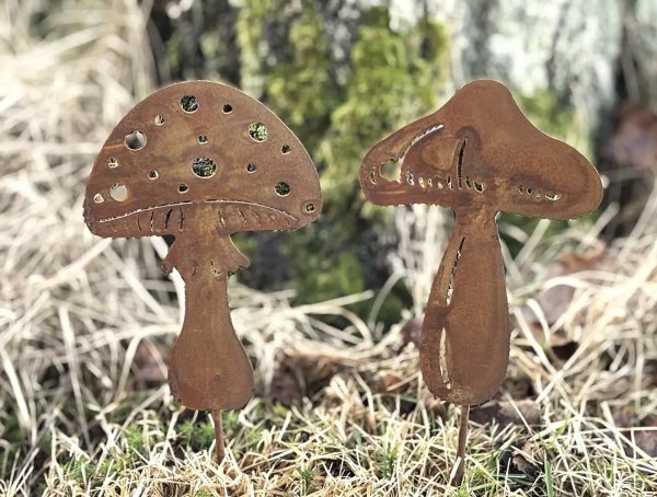 Svamp Karljohan och flugsvamp i rost 