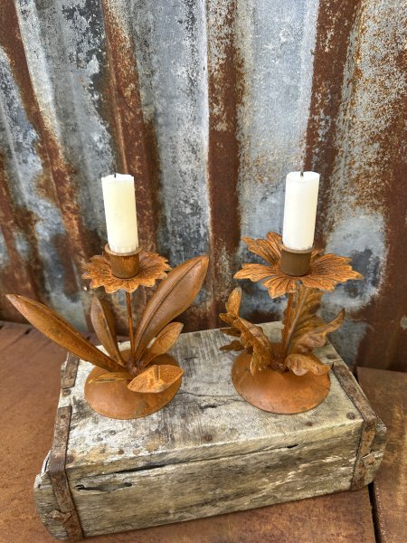 Ljusstake blomma på fot i rost