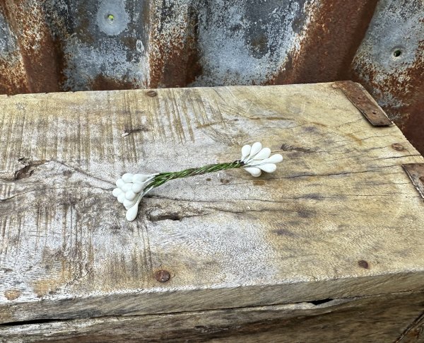 Små vita bär på tråd att dekorera med 